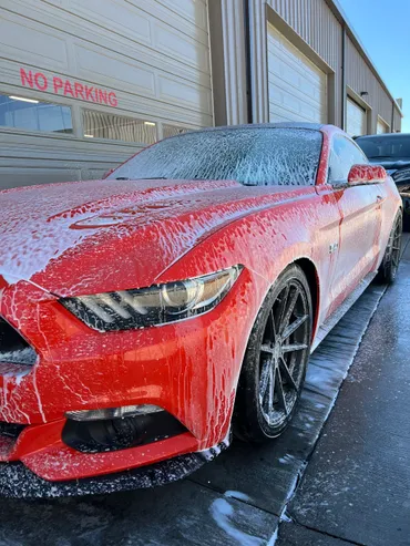 rs=w_370,cg_true,m (8)